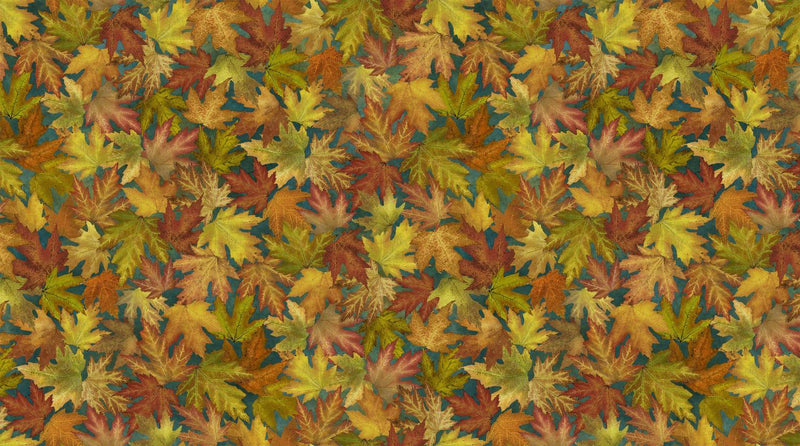 Autumn Splendor by Northcott - Multi Leaves on Dark Teal - DP26682-68