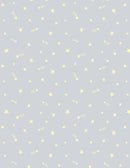 Baby's Adventure by Wilmington - Ditsy Stars Grey 1876-69314-995