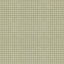Blessed by Nature - Wilmington Prints - Green Gingham - 17813-707