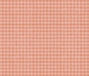 Blessed by Nature - Wilmington Prints - Peach Gingham - 17813-808