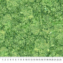 Bliss Basic by Northcott - Oasis Rainforest DP23887-76