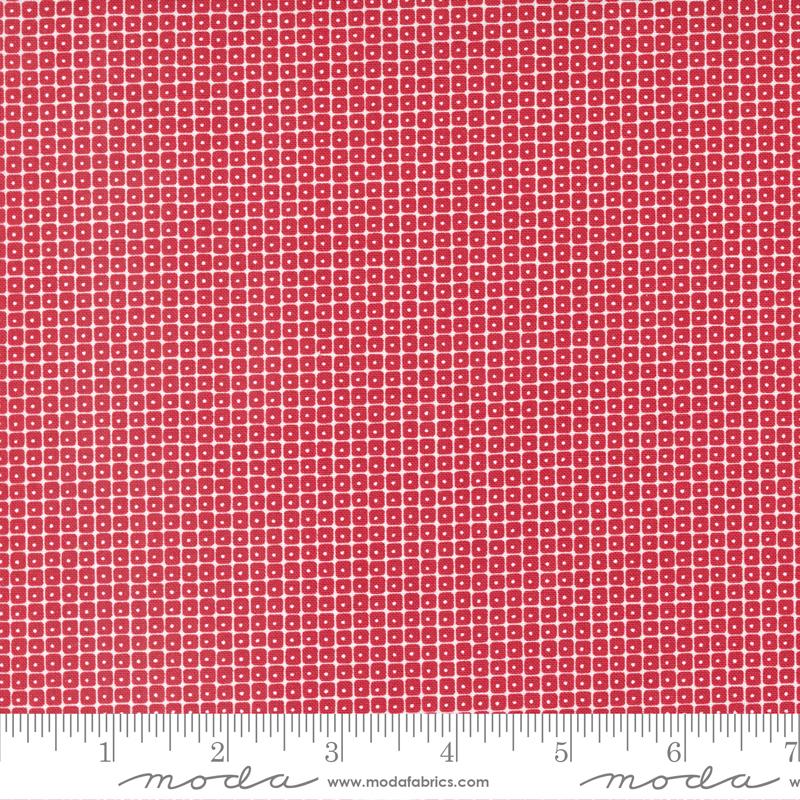 Blizzard by Sweetwater for Moda - Tiny Check on Red 55627-14