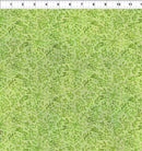 Blooming Day & Night - In The Beginning - Green Branches 12BDN-1