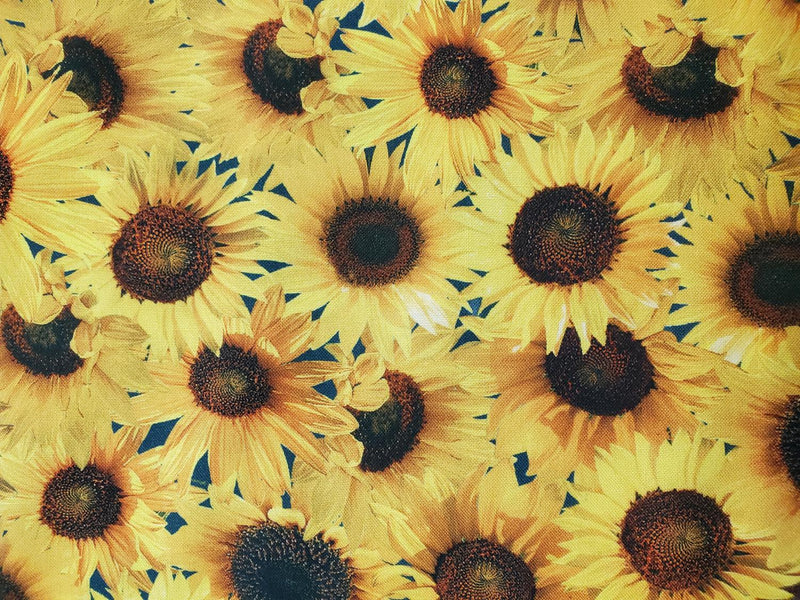 Brown Bag Mystery Quilt Kit - Sunny Days - 50" x 66"