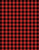 Buffalo Check by Wilmington - Red on Black 1817-39145-339