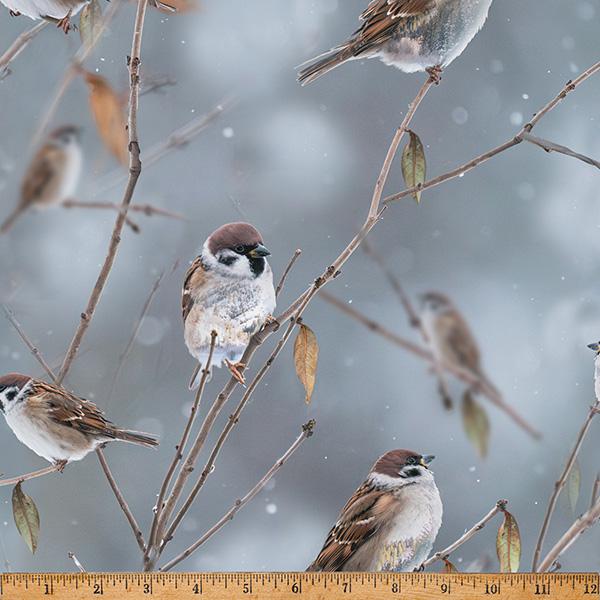 Call of the Wild by Hoffman - Digital Print - Sparrow X5569H-543