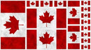 Canadianisms - PANEL - Wilmington - 24" x 43" 1469-7453-131