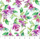 Concerto - Northcott - White Multi Trailing Fuchsia - DP27829-10