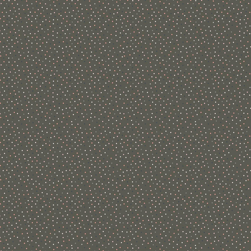 Country Confetti by Poppy Cotton - Weathered Wood Grey CC20187