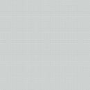 Cross Stitch Texture - by Andover Nickel A806-C