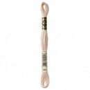 DMC Embroidery Floss - 543 - Very Light Beige Brown