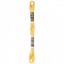 DMC Embroidery Floss - 676 - Light Old Gold