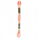 DMC Embroidery Floss - 754 - Light Peach
