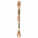 DMC Embroidery Floss - 841 - Light Beige Brown