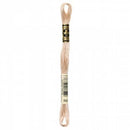 DMC Embroidery Floss - 842 - Very Light Beige Brown