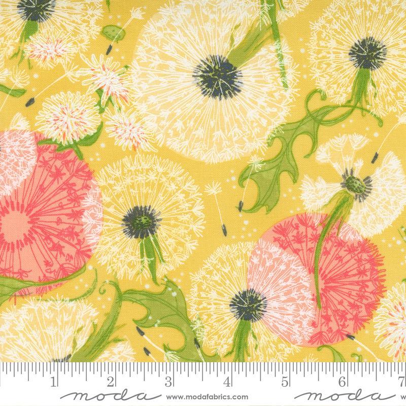 Dandi Duo by Robin Pickens for Moda - Maize Floral 548750-12