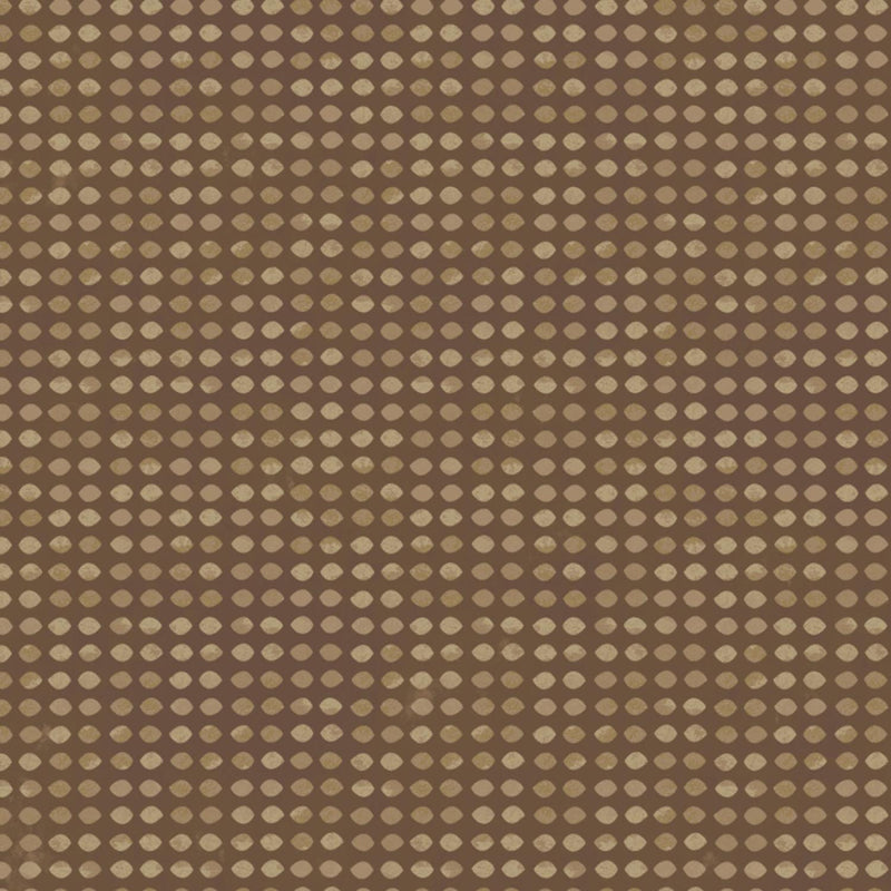 Dit Dot by Jason Yenter for In The Beginning - Chocolate IBFDID8AH-26