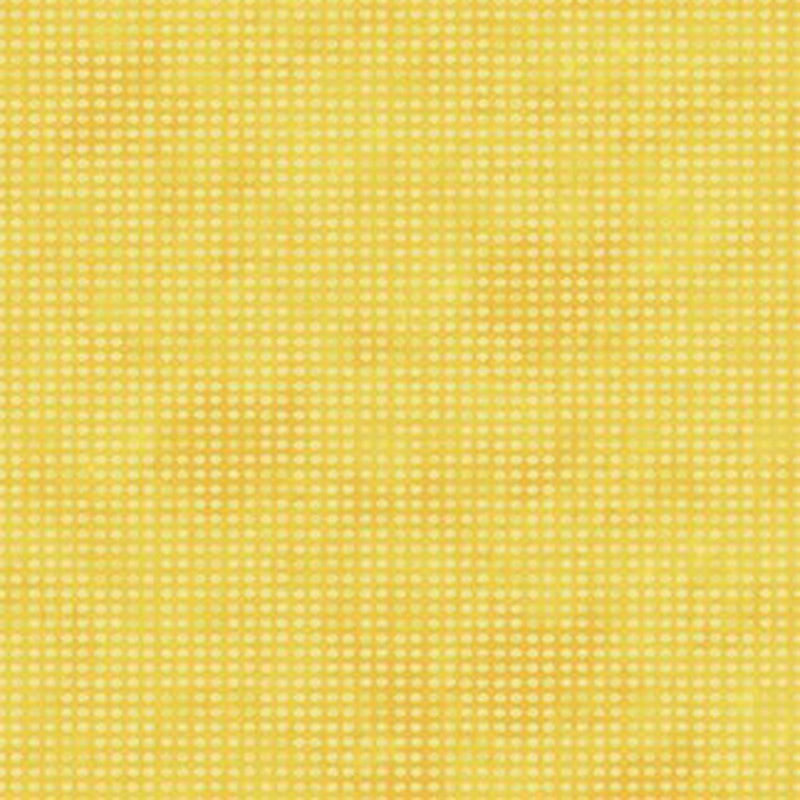 Dit Dot by Jason Yenter for In The Beginning - Goldenrod IBFDID8AH-6