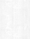 Essentials - Canvas Texture by Wilmington - White 3023-39851-100