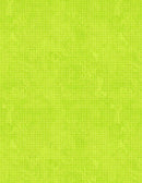 Essentials - Criss Cross by Wilmington - Bright Lime 1825-85507-717