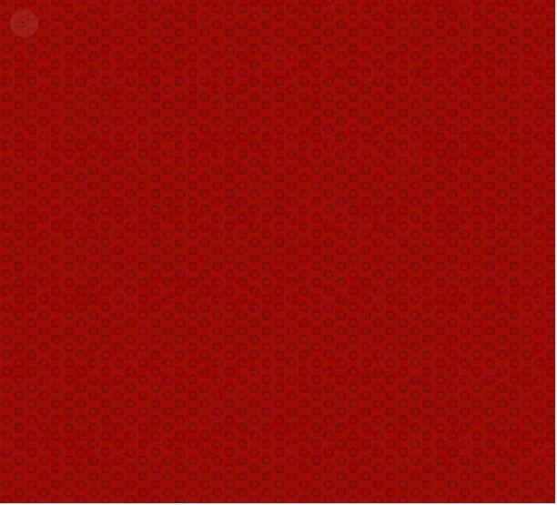 Essentials - Red Carpet -  Wilmington - Circles 39091-333