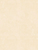 Essentials Criss Cross by Wilmington - Ivory 85507-111