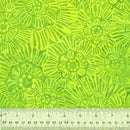Etch by Anthology Fabrics - Pear 895Q-6
