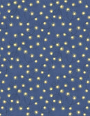 Evergreen Escape - Wilmington - String Lights All Over - Navy 3059-20064-459
