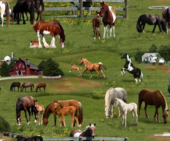 Farm Animals by Elizabeth Studio - Horses 339-Green