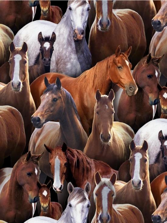 Farm Animals by Elizabeth Studio - Horses 443-BLACK