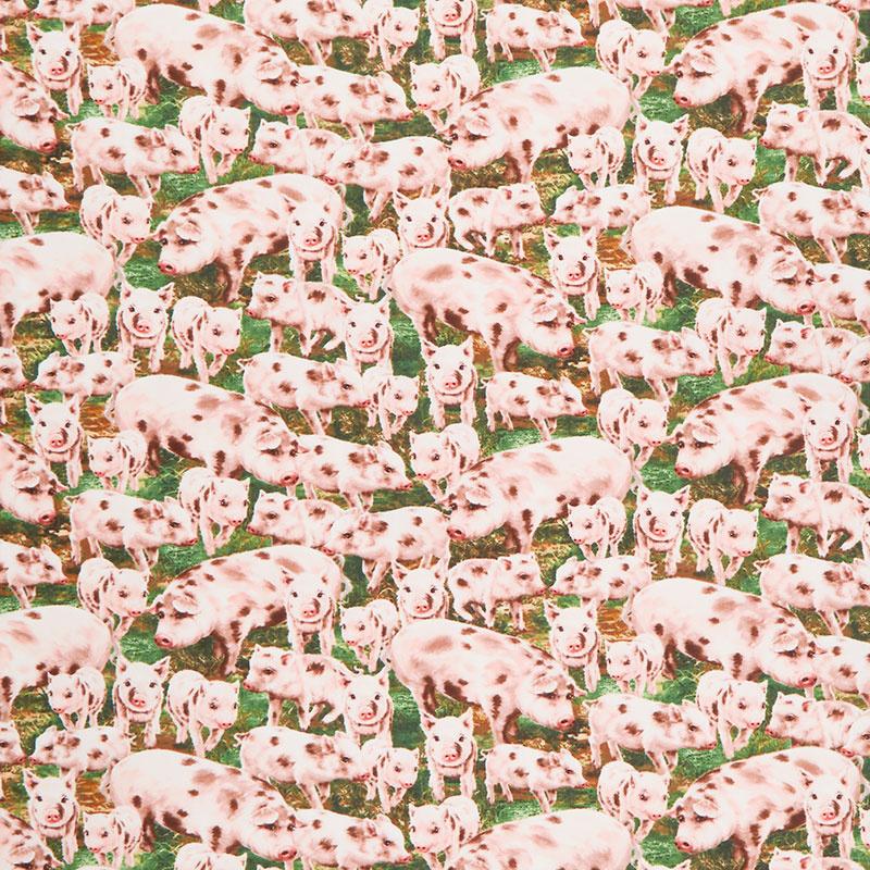 Farm Life - Packed Pigs Timeless Treasures - Multi C8338