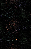 Floral Party - Wilmington Prints - 3051-40767-987 Black Splatter