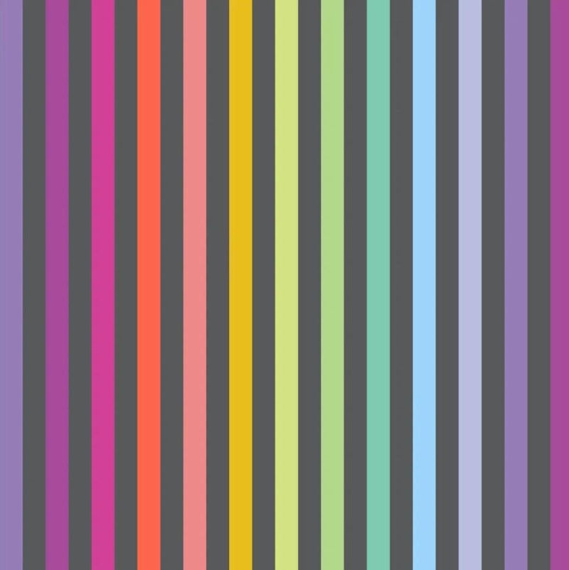 Graywork by Tula Pink - Disco Stripe PWTP231.CARBON