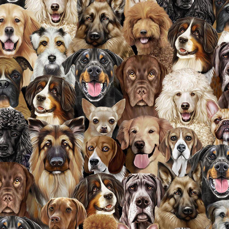 Happiness Has Paws by Timeless Treasures - Pack Dogs Portrait CD2947-NATURAL