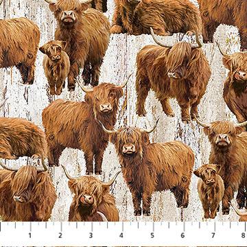 Highland Home - Northcott - Beige Highland Cows DP28690-12