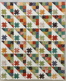 Hodgepodge - SAMPLE - Pieced Top 60" x 72" (binding incl)