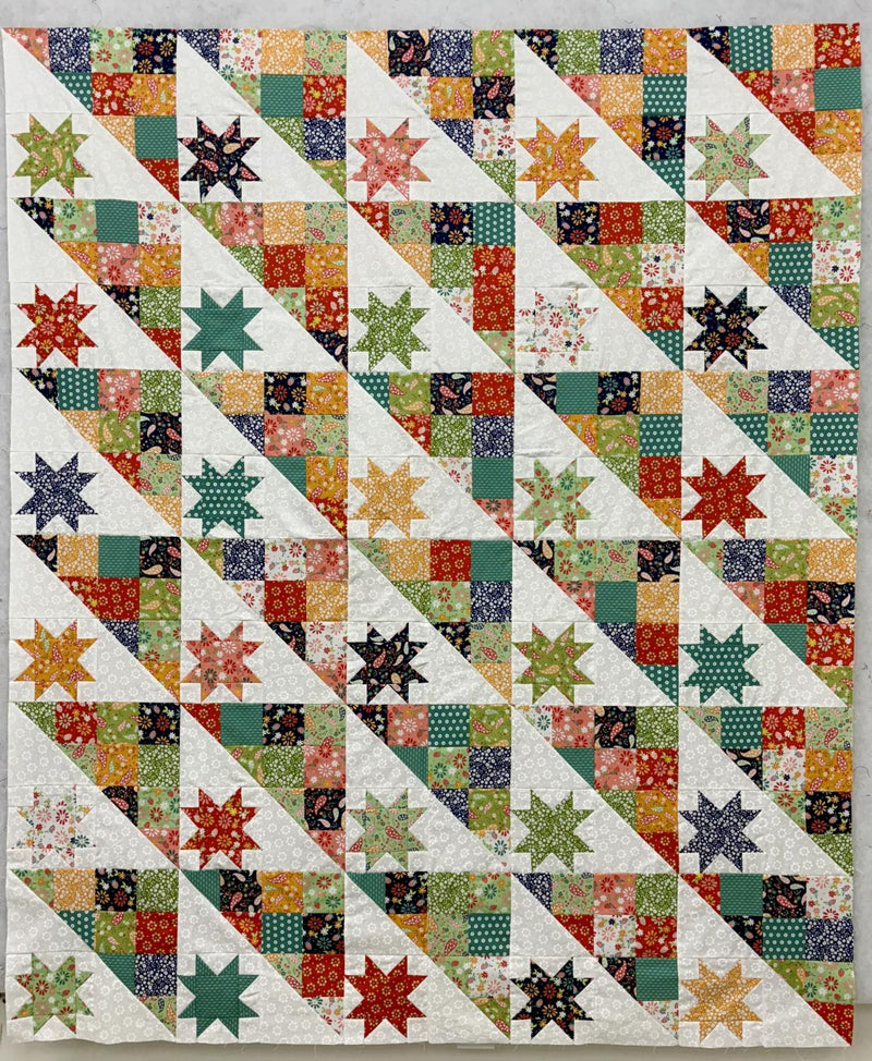 Hodgepodge - SAMPLE - Pieced Top 60" x 72" (binding incl)