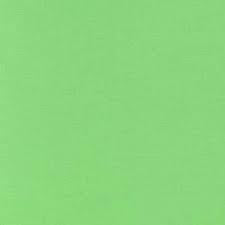 Kona Cotton Solids by Robert Kaufman - 1293 Pistachio