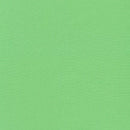 Kona Cotton Solids by Robert Kaufman - 348 Asparagus