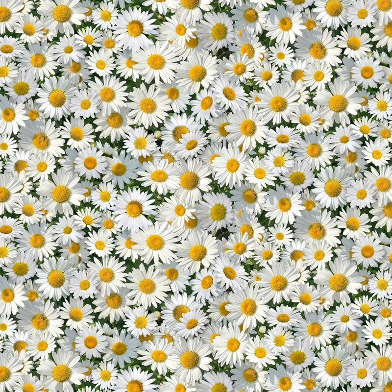 Landscape Medley by Elizabeth's Studio - White Daisies 656E