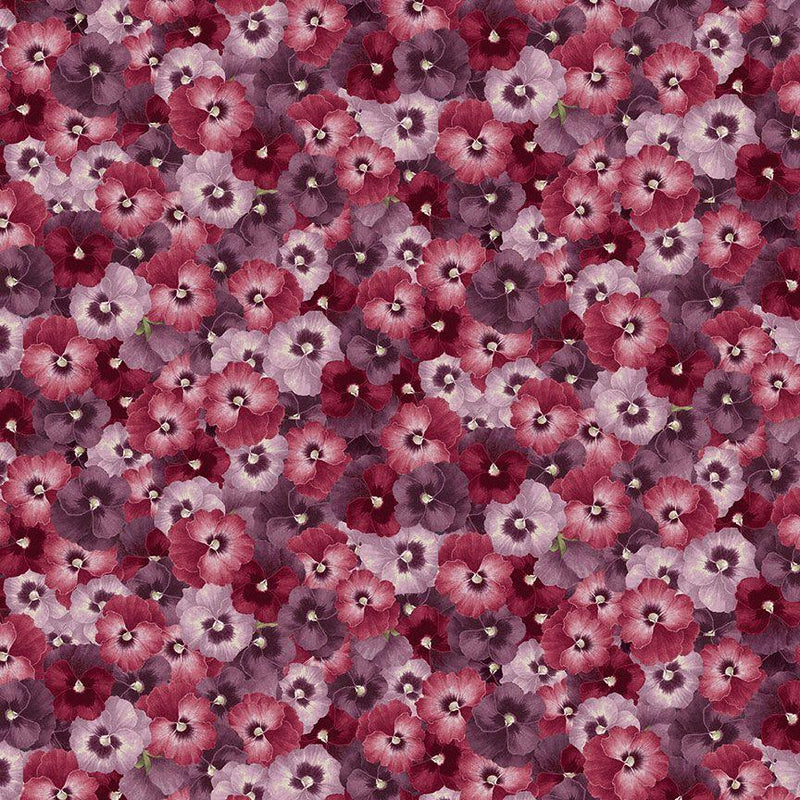 Laurel by Timeless Treasures - Packed Pansy Multi CD1904 MUL