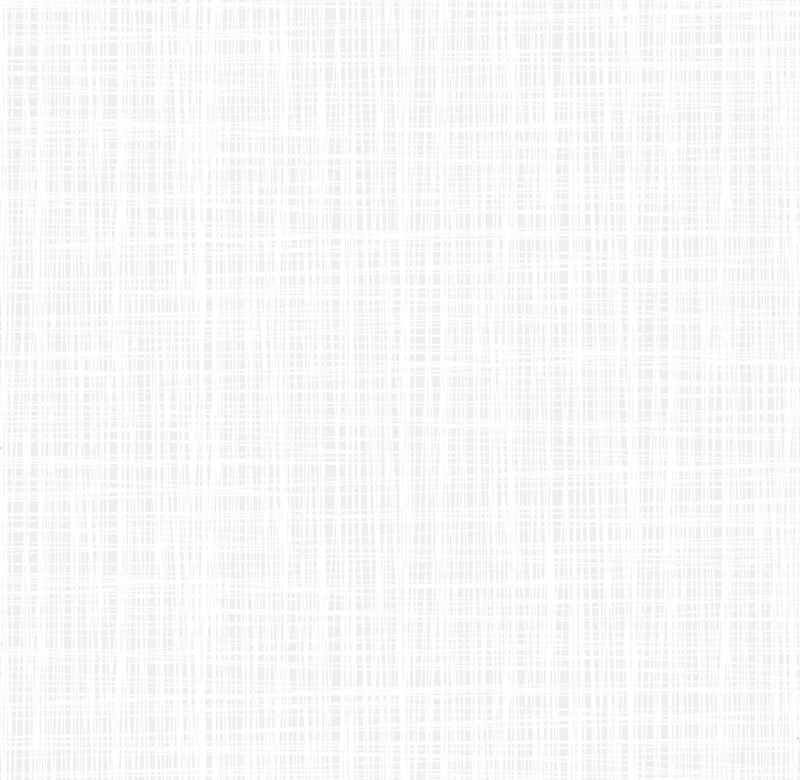 Monochrome - Seedlings by Connecting Threads - Sketched Lines White CTS94387