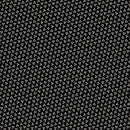 Opposite Options by Marcus Fabrics - Floret R310371 BLACK