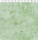 Our World - Clothworks - Tonal Mint - Y4936-110