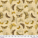 Palette Curated by Tim Holtz for FreeSpirit - Yellow Specimen PWTH244.CYELLOW