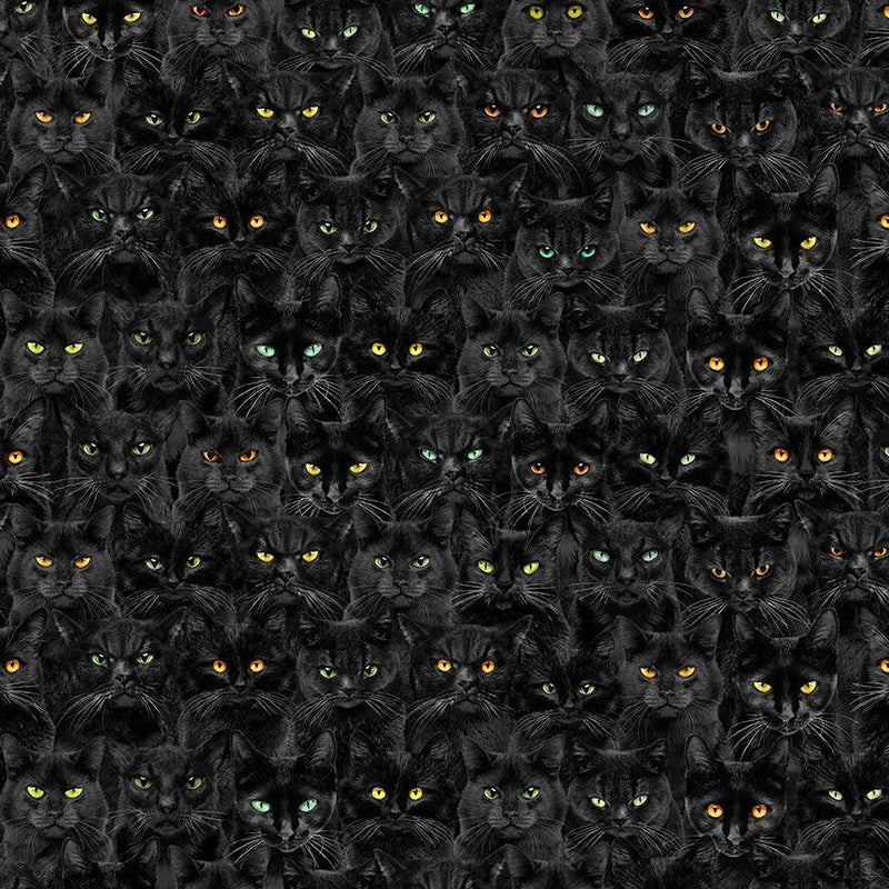 Pick Your Poison - Timeless Treasures - Wicked Black Cats Magic CD1831
