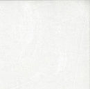 Plaster of Paris by Northcott - Pearl 40009-10