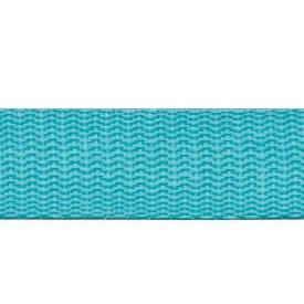 PolyPro Webbing 25mm - Aqua 730-058 (sold by metre)