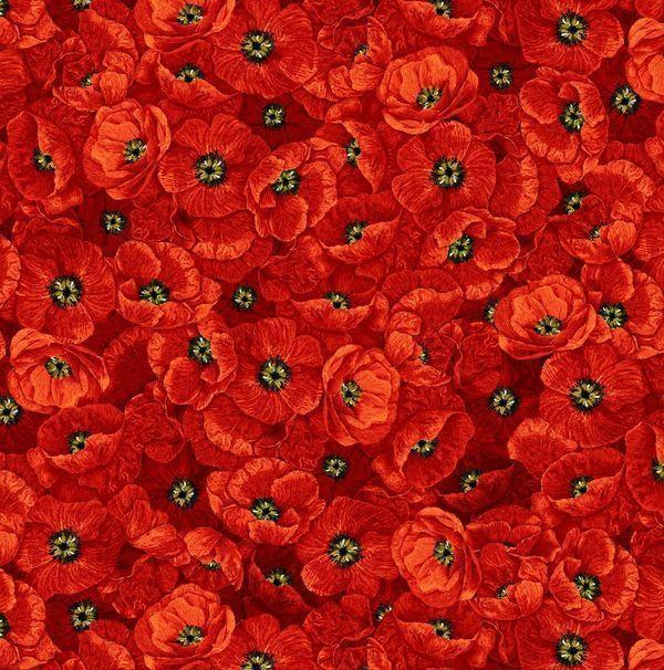 Poppy Dreams by Timeless Treasures - Packed Poppies CD-3224-Poppy