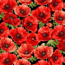 Poppy Passion by Timeless Treasures - Large Poppy CD3802-BLACK